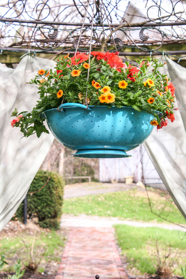 Colander Planter